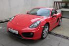 Cayman 981 275 ch